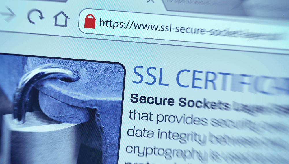 حماية الدومين و SSL